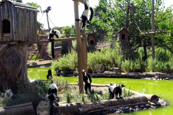 Zoo Lagos_1